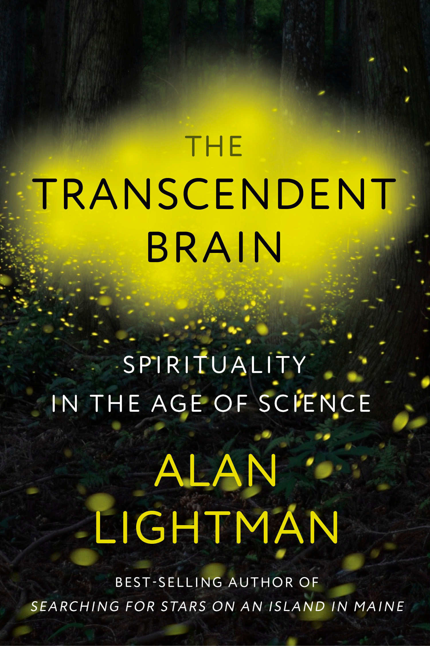 The Transcendent Brain : Spirituality in the Age of Science | Lightman, Alan