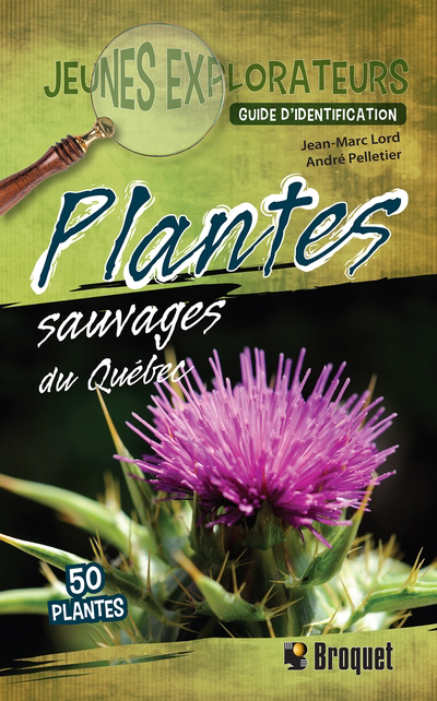 Jeunes explorateur - Les Plantes sauvages du Québec : guide d&apos;identification | Lord, Jean-Marc