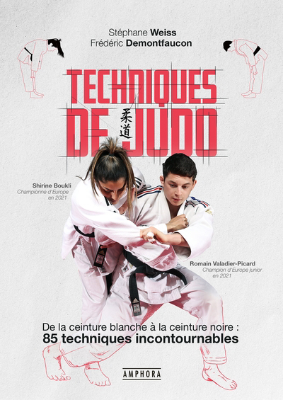 Techniques de judo : de la ceinture blanche à la ceinture noire : 85 techniques incontournables | Demontfaucon, Frédéric