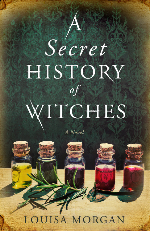 A Secret History of Witches : A Novel | Morgan, Louisa (Auteur)