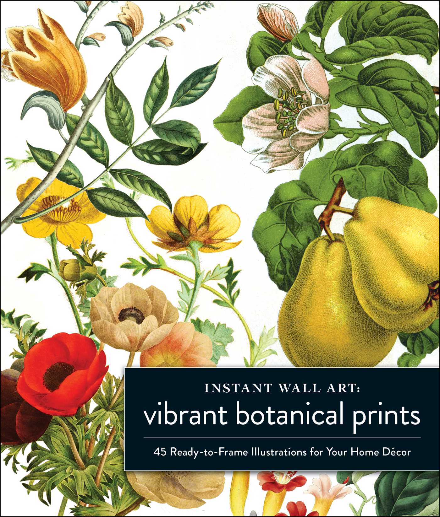 Instant Wall Art Vibrant Botanical Prints : 45 Ready-to-Frame Illustrations for Your Home Décor | 