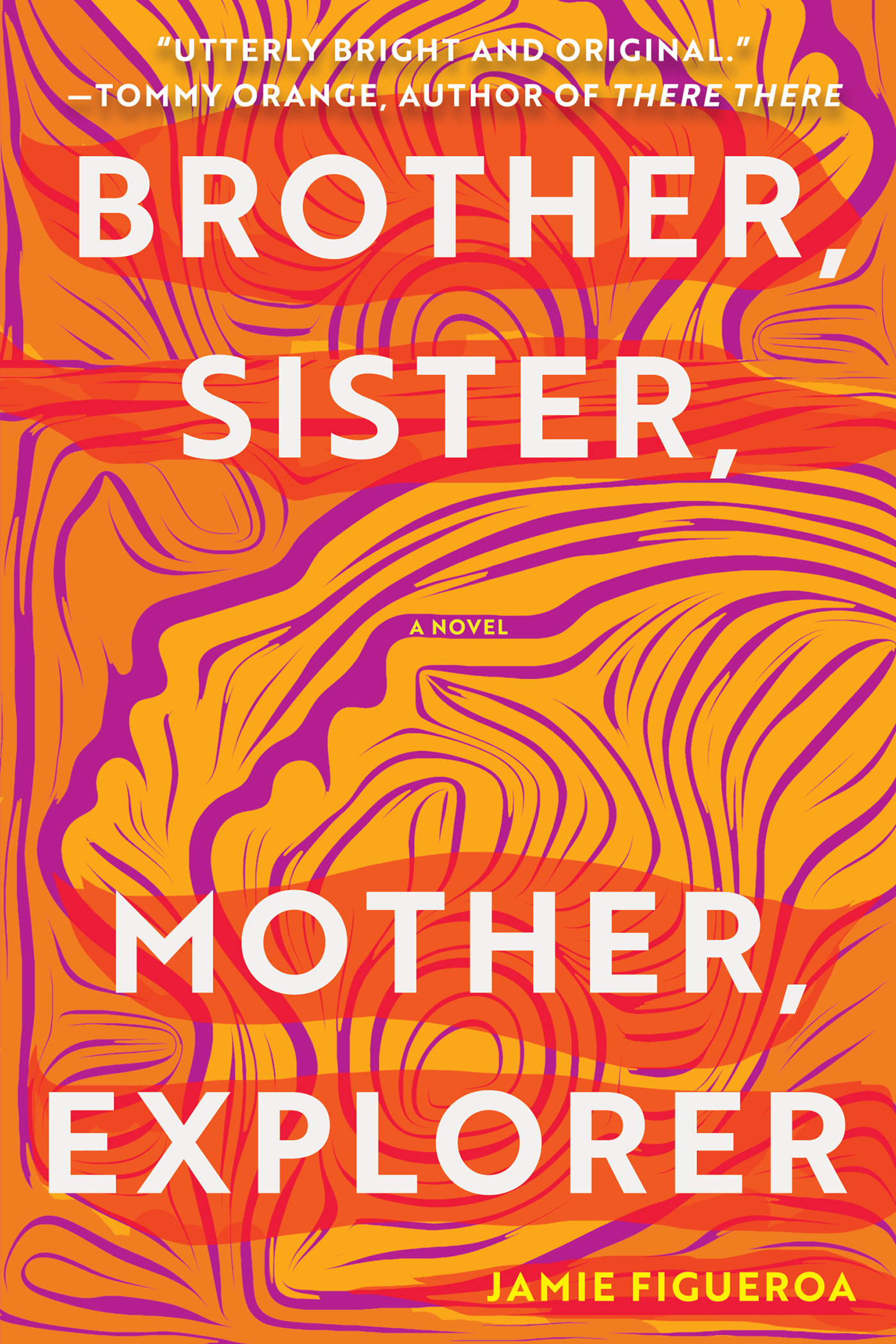 Brother, Sister, Mother, Explorer : A Novel | Figueroa, Jamie (Auteur)