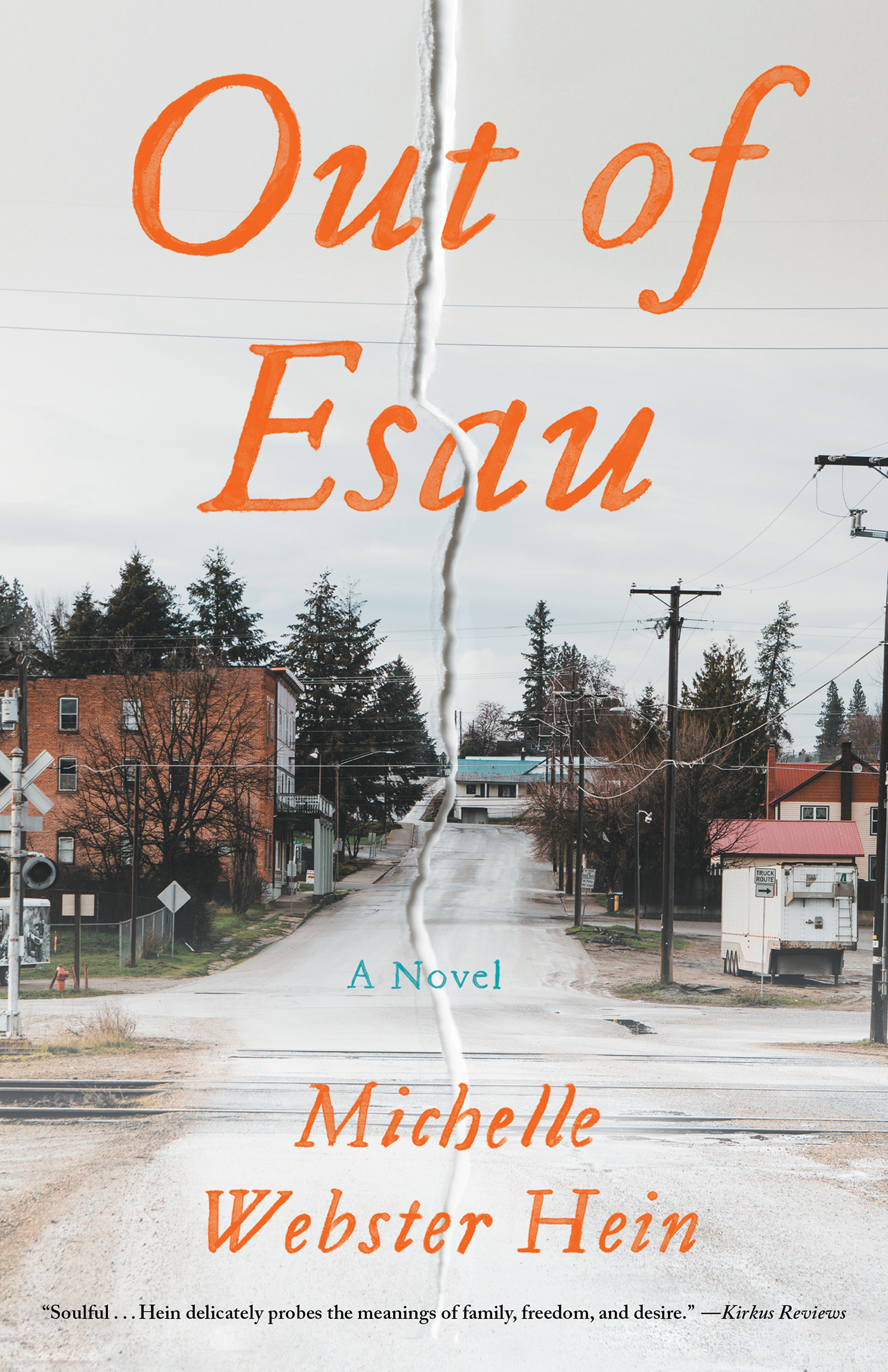 Out of Esau : A Novel | Webster-Hein, Michelle (Auteur)