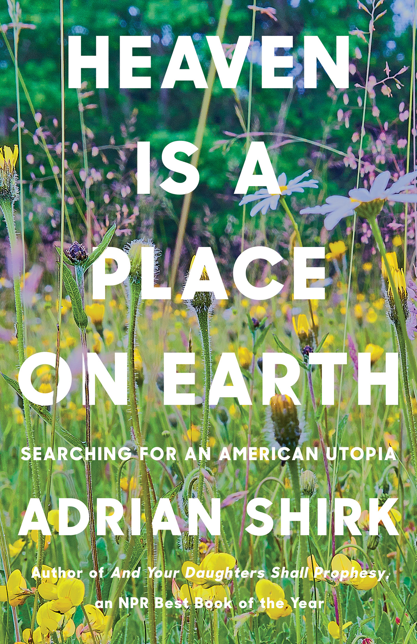 Heaven is a Place on Earth : Searching for an American Utopia | Shirk, Adrian (Auteur)