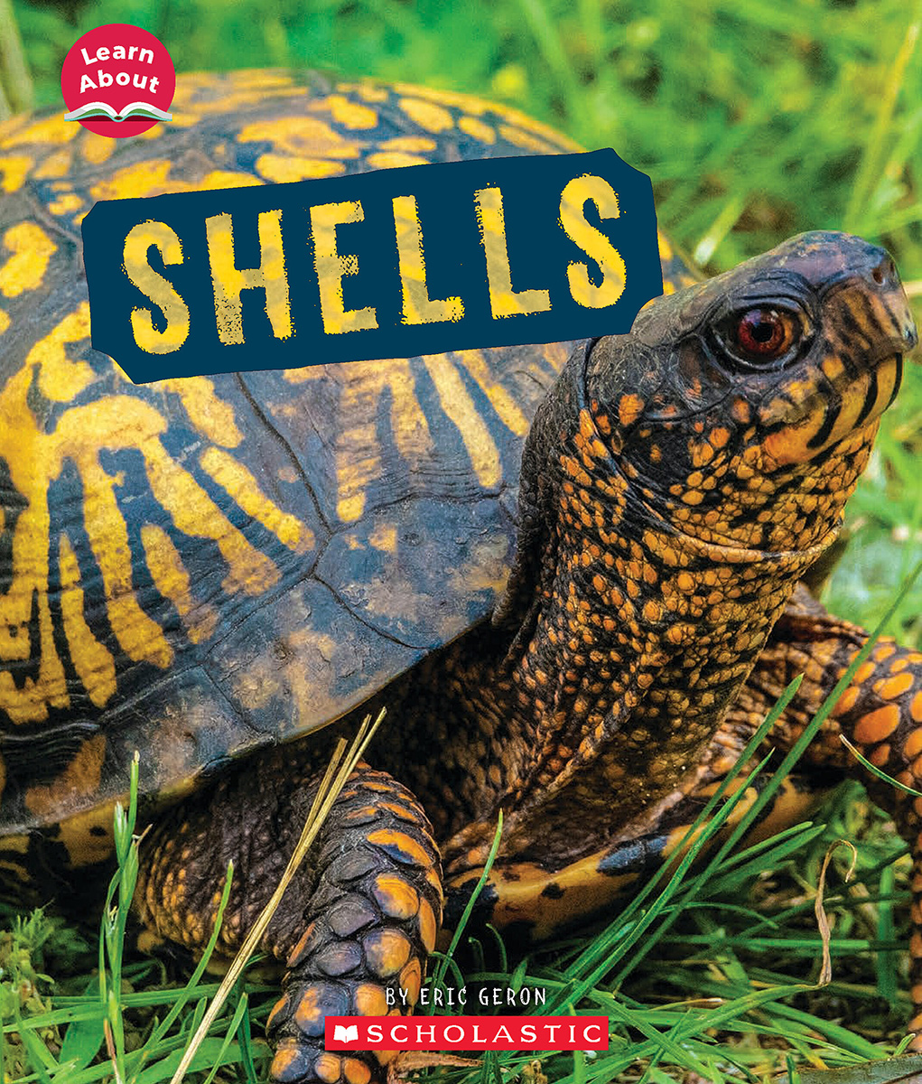 Shells (Learn About: Animal Coverings) | Geron, Eric (Auteur)