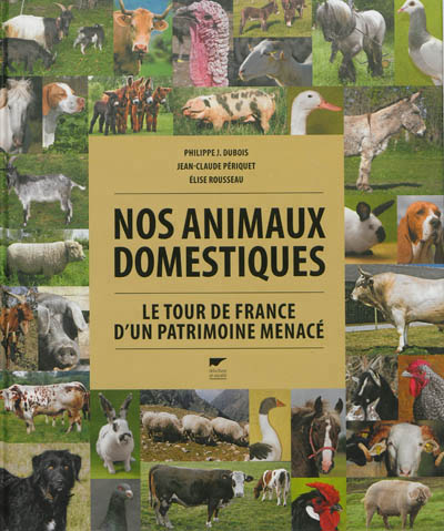 Nos animaux domestiques | Dubois, Philippe Jacques