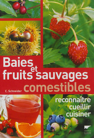 Baies et fruits sauvages comestibles | Schneider, Christine