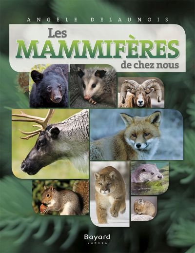 mammifères de chez nous (Les) | Delaunois, Angèle