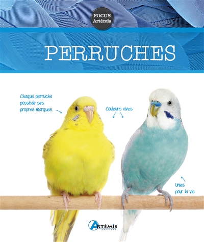 Perruches | Hieronimus, Harro