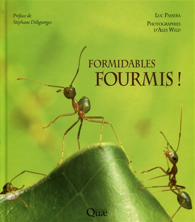 Formidables fourmis ! | Passera, Luc