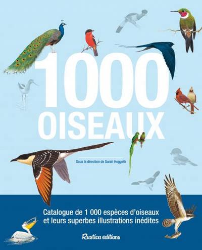 1.000 oiseaux | 