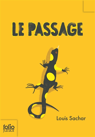 passage (Le) | Sachar, Louis