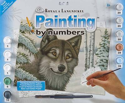 Peinture à numéro - Loup de neige | Peinture à numéro & peinture de diamant (Diamond Painting)