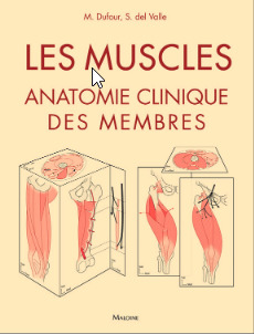 muscles (Les) | Dufour, M.