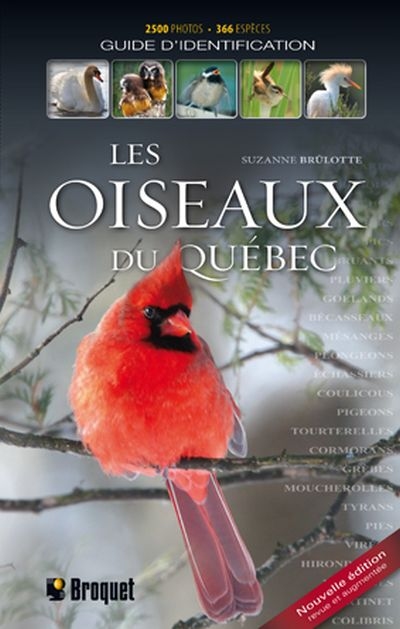 oiseaux du Québec (Les) | Brûlotte, Suzanne
