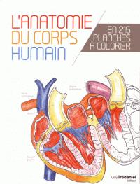 L'anatomie du corps humain | 