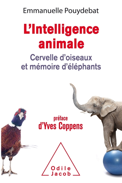 L'intelligence animale | Pouydebat, Emmanuelle