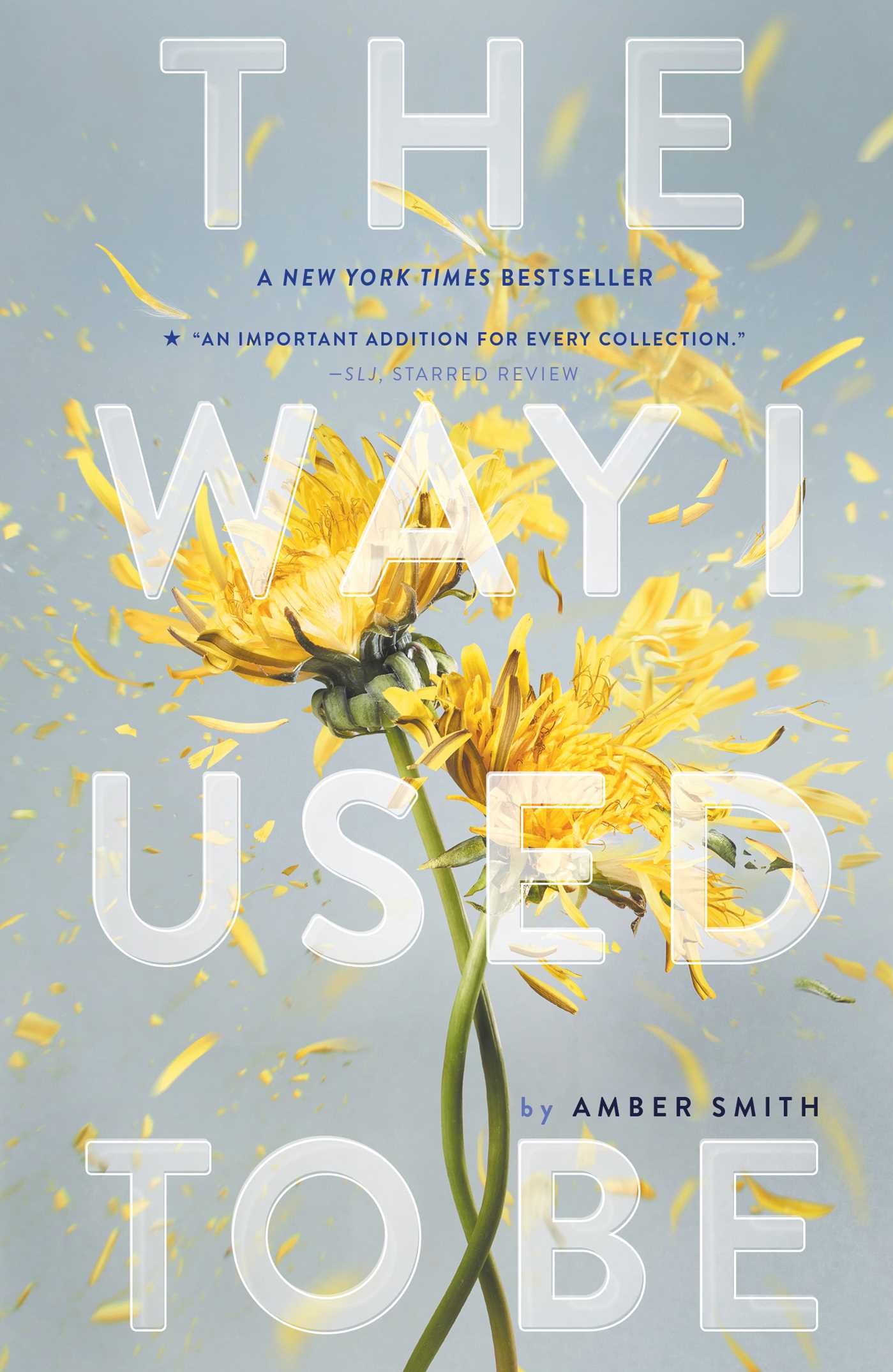 The Way I Used to Be | Smith, Amber