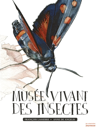 Musée vivant des insectes | Lasserre, François
