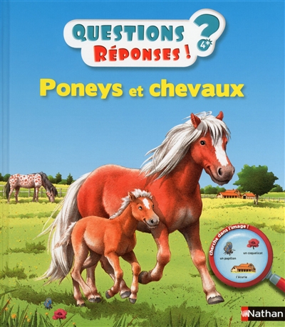 Chevaux et poneys | Baumann, Anne-Sophie