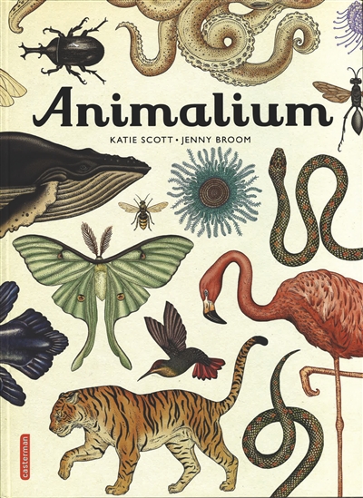 Animalium | Broom, Jenny