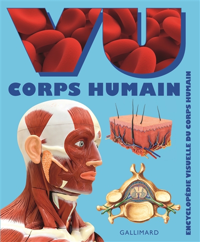 Vu corps humain : encyclopédie visuelle du corps humain | 