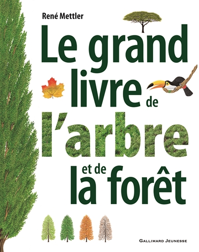 grand livre de l'arbre et de la forêt (Le) | Mettler, René