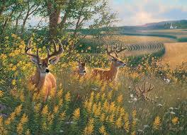 Casse-tête 1000 - Cerfs d'Été (Summer Deer) | Casse-têtes