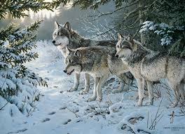 Casse-tête 1000 - Sentier des Loups (Le) (Wolf Trail) | Casse-têtes