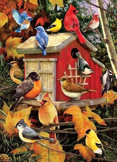 Casse-tête 1000 - Cabane à Oiseaux de l'Automne (Fall Birds) | Casse-têtes