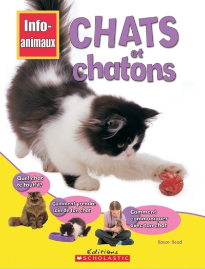 Chats et chatons  | Head, Honor