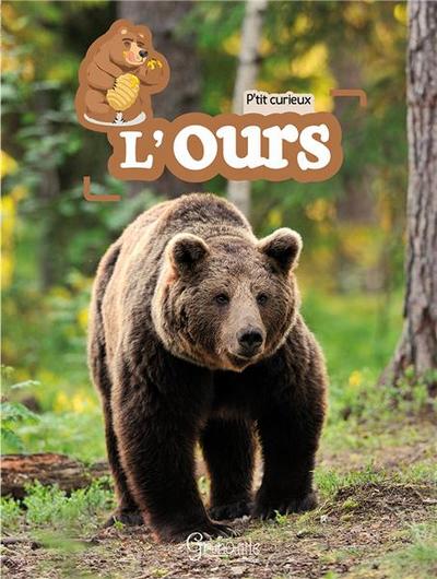 P'tit curieux - L'ours | 