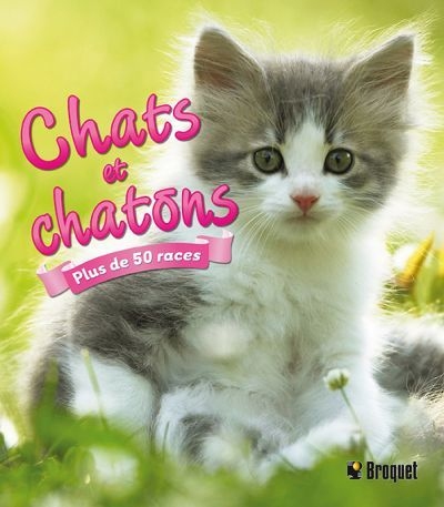 Chats et chatons  | Alderton, David