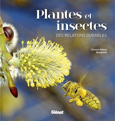 Plantes et insectes | Albouy, Vincent