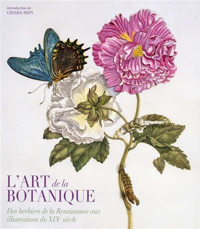 Art de la botanique (L') | Accorsi, Andrea