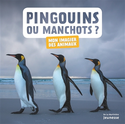 Pingouins ou manchots ? | Einhorn, Juliette