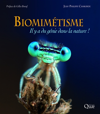 Biomimétisme | Camborde, Jean-Philippe