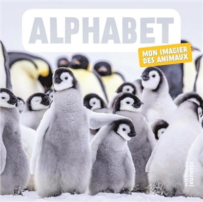Alphabet : mon imagier des animaux | Naturagency