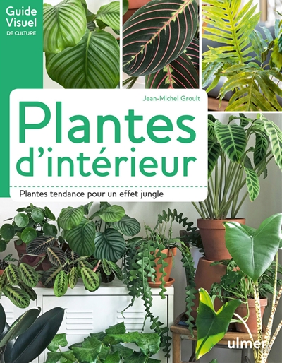 Plantes d'intérieur : Plantes tendance pour un effet jungle | Groult, Jean-Michel
