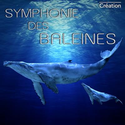 Symphanie des baleines | CD de musique