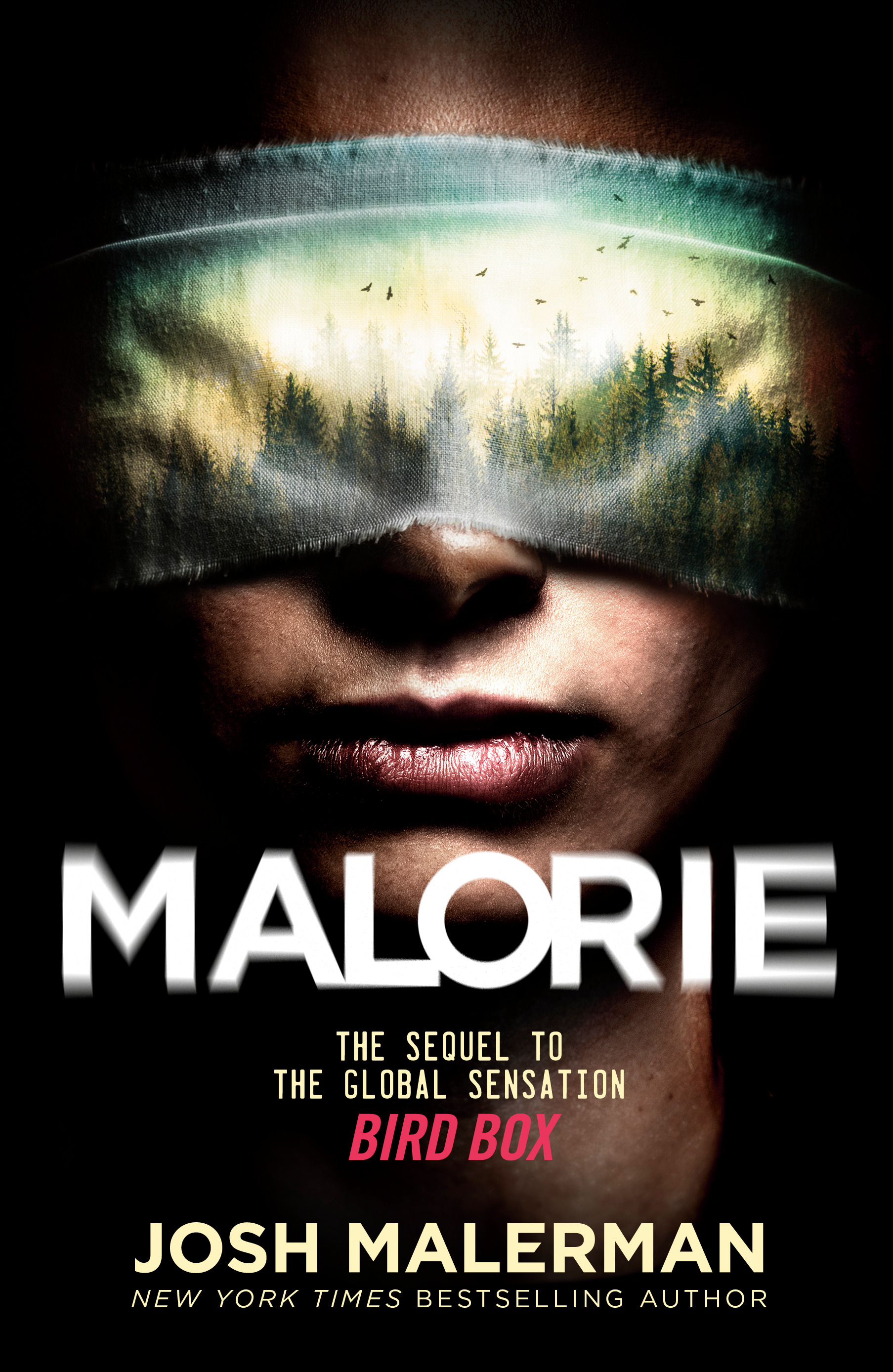 Bird Box T.02 - Malorie | Malerman, Josh
