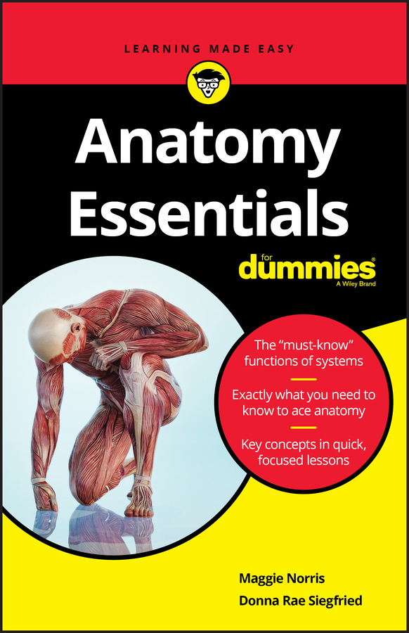 Anatomy Essentials For Dummies | Norris, Maggie