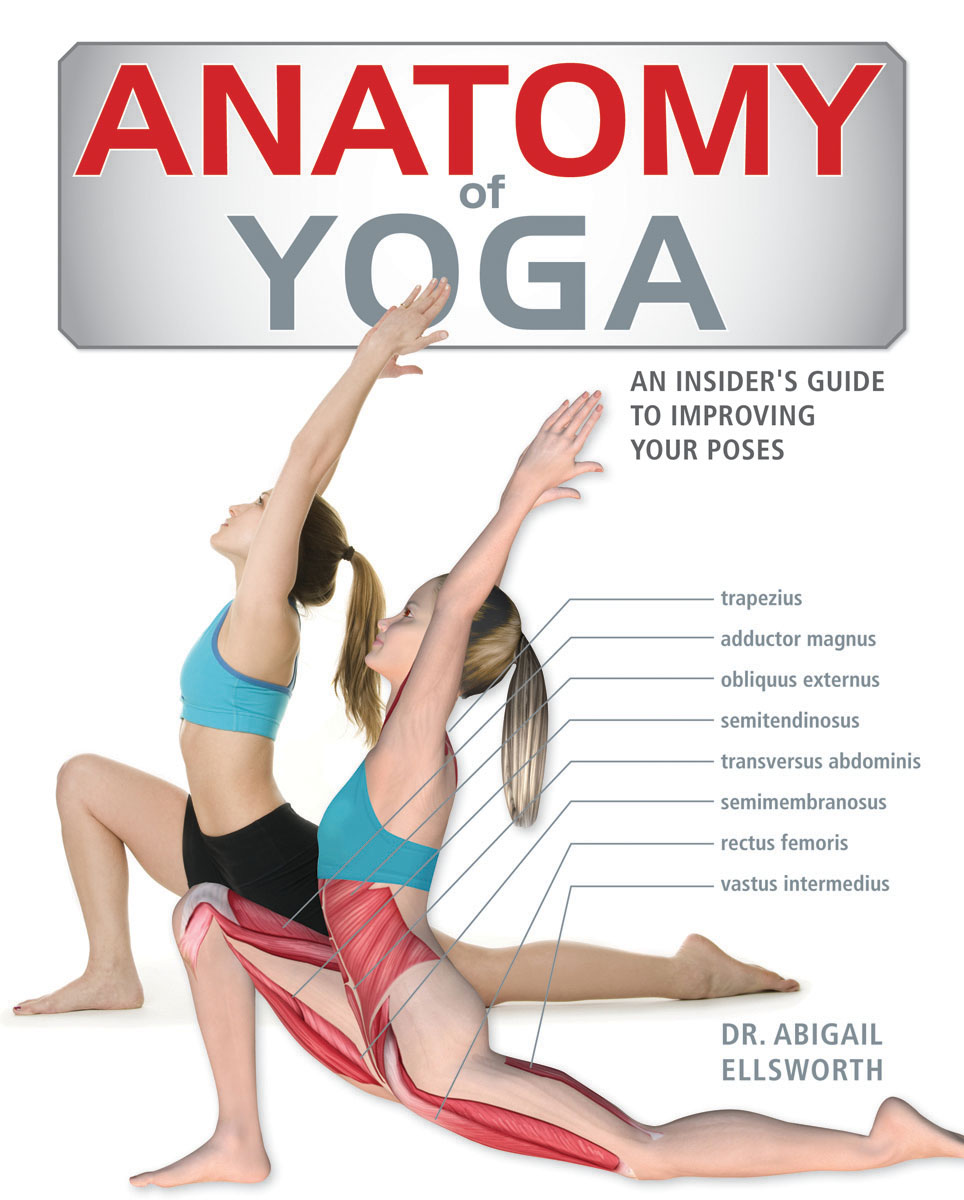 Anatomy of Yoga : An Instructor's Inside Guide to Improving Your Poses | Ellsworth, Abigail