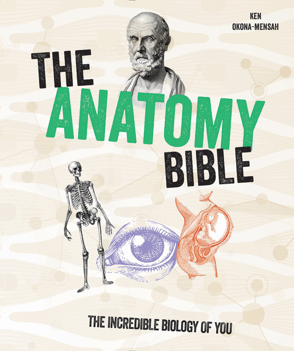 The Anatomy Bible : The Incredible Biology of You | Okona-Mensah, Ken