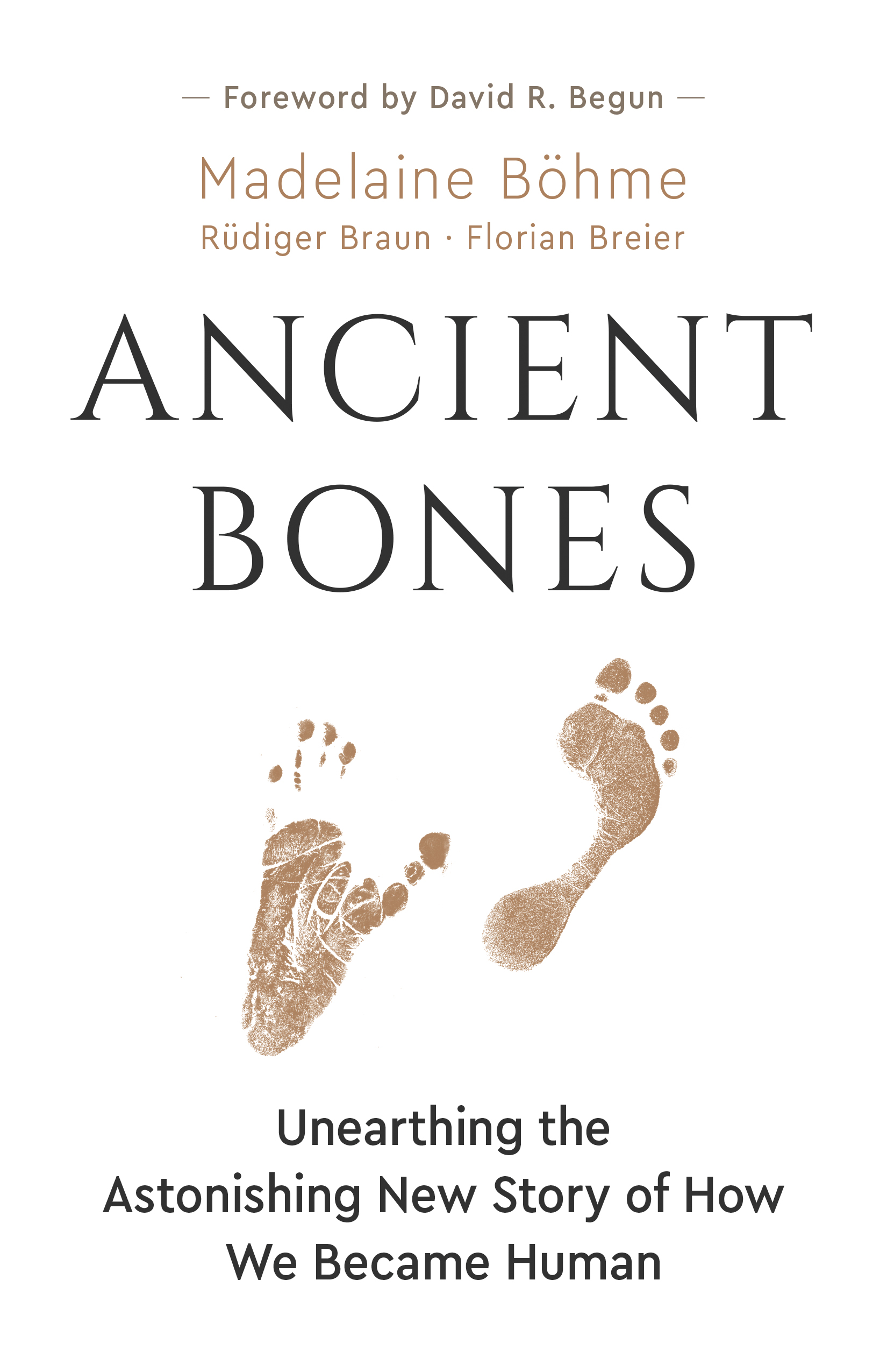 Ancient Bones : Unearthing the Astonishing New Story of How We Became Human | Böhme, Madelaine