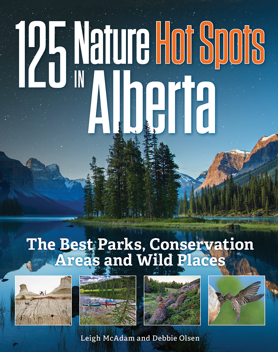 125 Nature Hot Spots in Alberta : The Best Parks, Conservation Areas and Wild Places | McAdam, Leigh