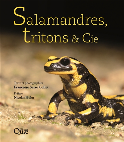 Salamandres, tritons & Cie | Serre-Collet, Françoise
