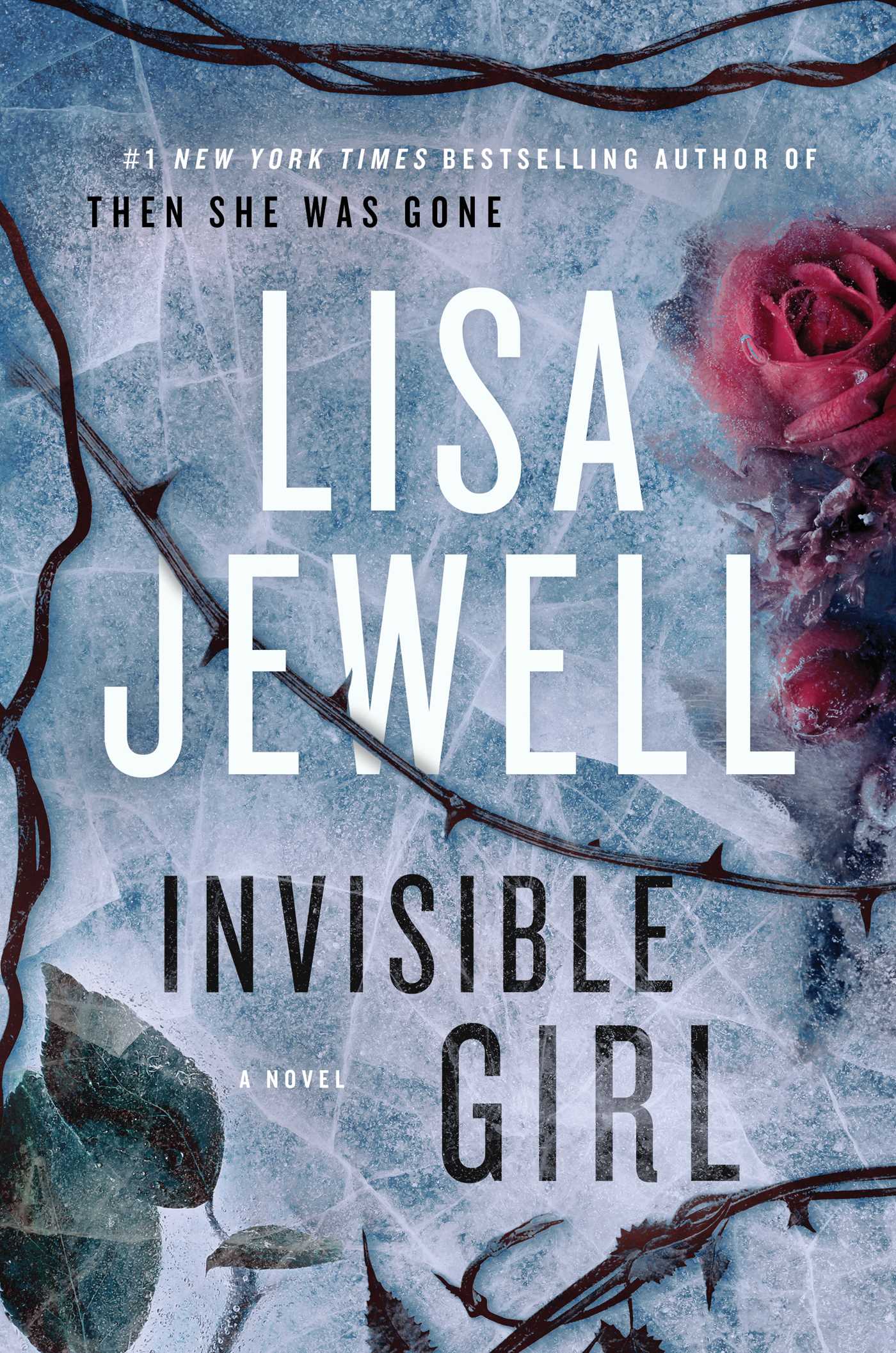 Invisible Girl : A Novel | Jewell, Lisa