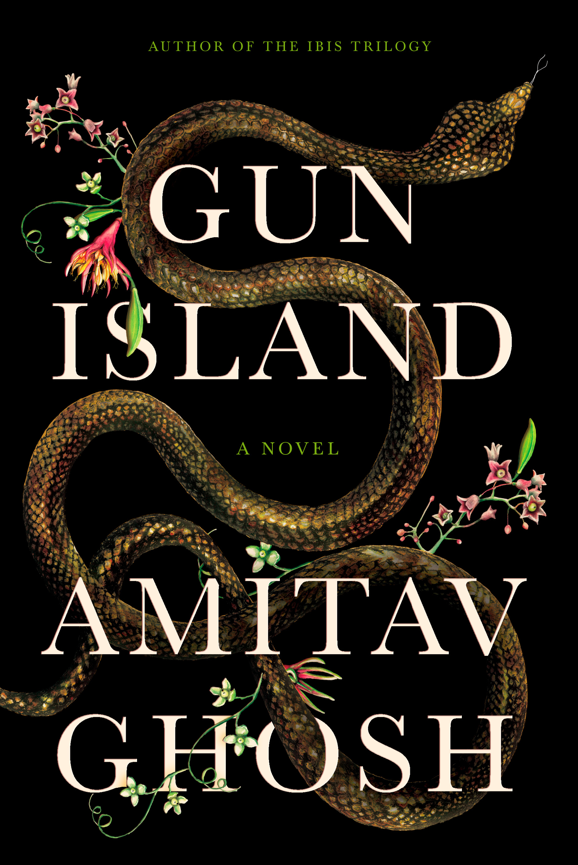 Gun Island | Ghosh, Amitav