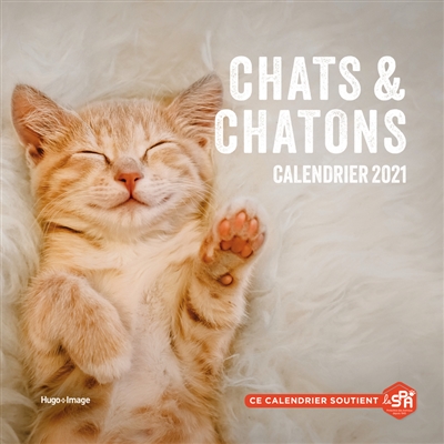 Calendrier 2021 - Chats & chatons | 